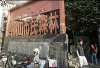 從親山步道看城市永續發展