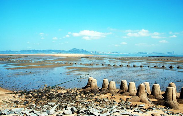 專家憂心：台灣丟「肉粽樁」 海岸更沉淪