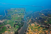 鳥天堂「鰲鼓濕地」 受地層下陷威脅 