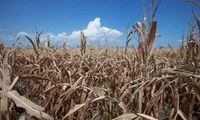 World Bank issues hunger warning after droughts in US and Europe