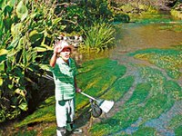 20年努力 日水都濁溪變清流