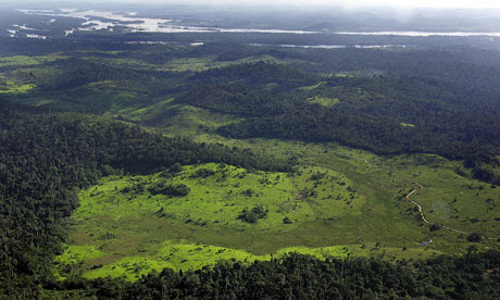 Brazil plans Amazon tree census to assess deforestation